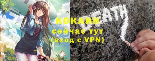 спайс Алексин