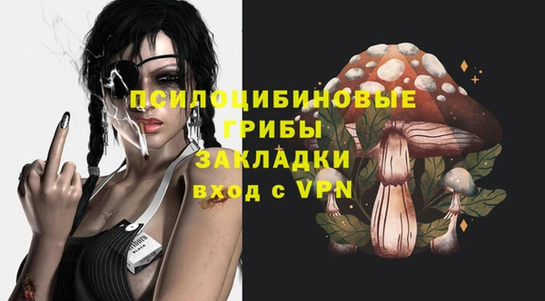 спайс Алексин